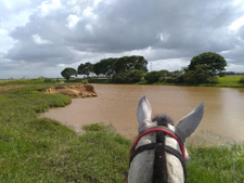 Colombia-Orinoquia-Womens Trip in Orinoquia